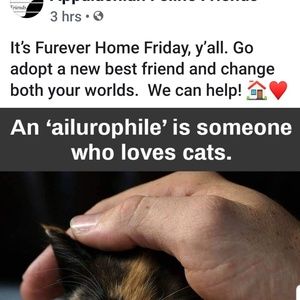 Meet your Posher, Patty